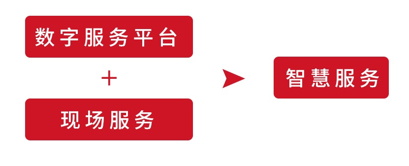 1654843775918004AF98.jpg